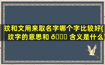 玟和文用来取名字哪个字比较好(玟字的意思和 🐛 含义是什么)